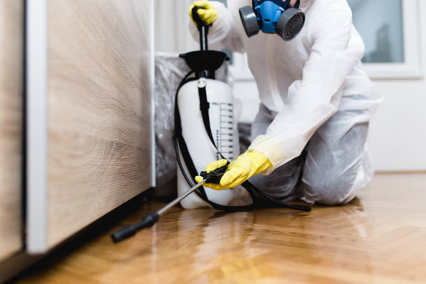 Best Residential Pest Control  in Rossmoyne, OH