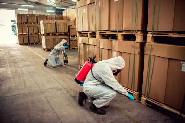 Best Termite Control Services  in Rossmoyne, OH
