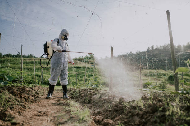 Best Mosquito Control Services  in Rossmoyne, OH