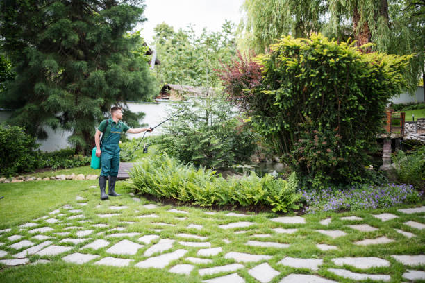 Best Wasp Removal Services  in Rossmoyne, OH