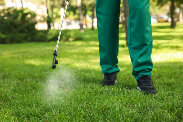Best Flea Control Services  in Rossmoyne, OH