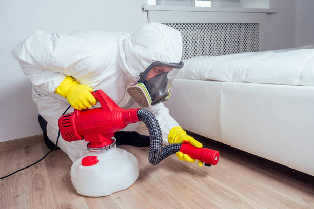 Trusted Rossmoyne, OH Pest Control Experts