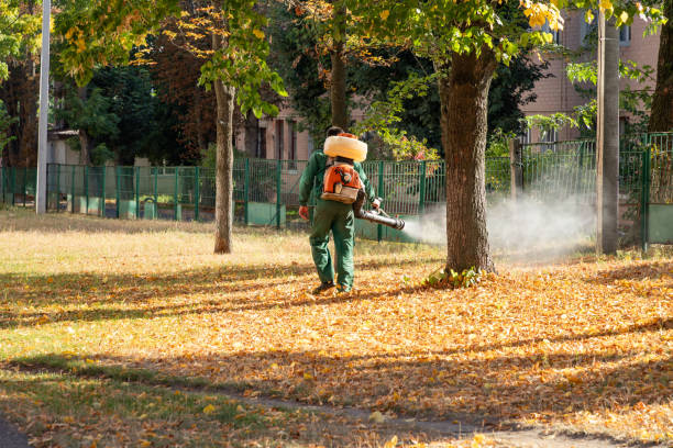 Best Best Pest Control Companies  in Rossmoyne, OH