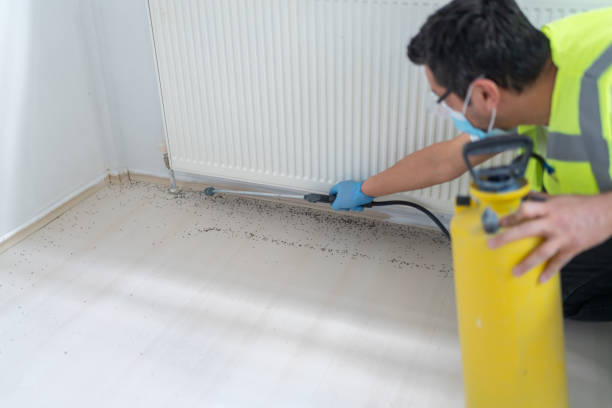 Best Ant Control Services  in Rossmoyne, OH