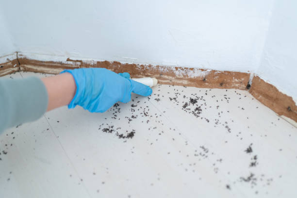 Best Pest Inspection Near Me  in Rossmoyne, OH