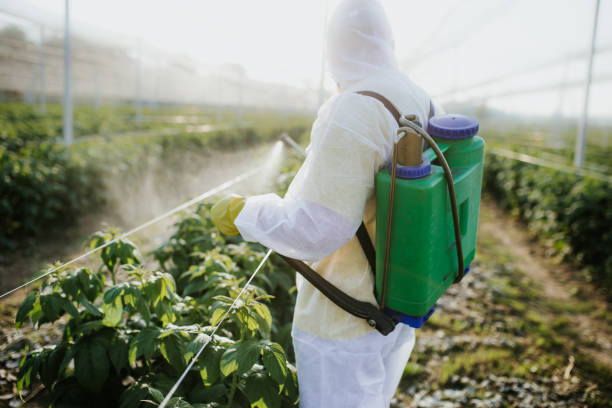 Best Bed Bug Extermination  in Rossmoyne, OH